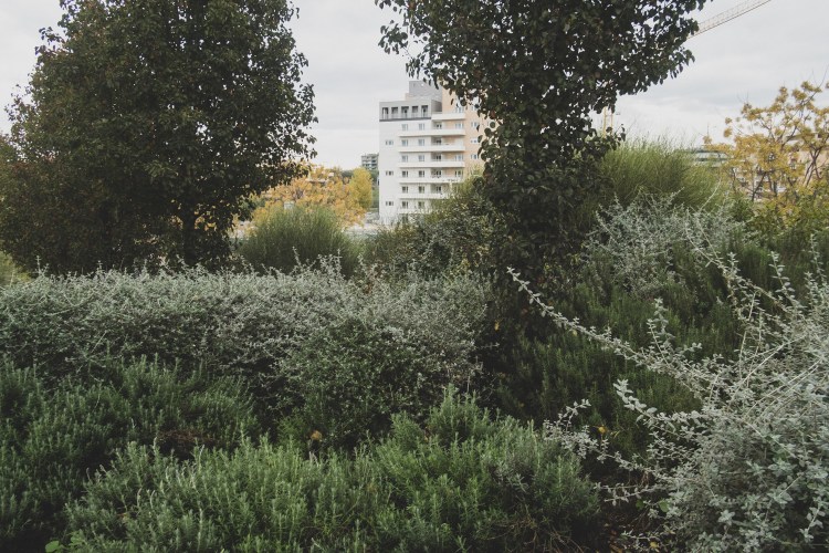 ITINERARI METROPOLITANI laboratori di paesaggio urbano