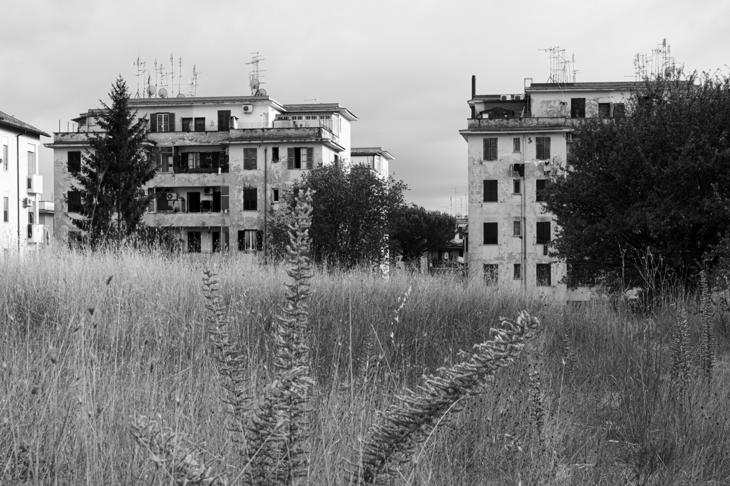 Tormarancia - Daniela Dinale