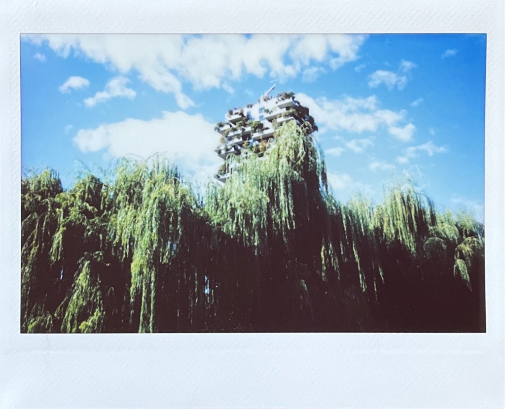 Workshop di fotografia Milano Verticale